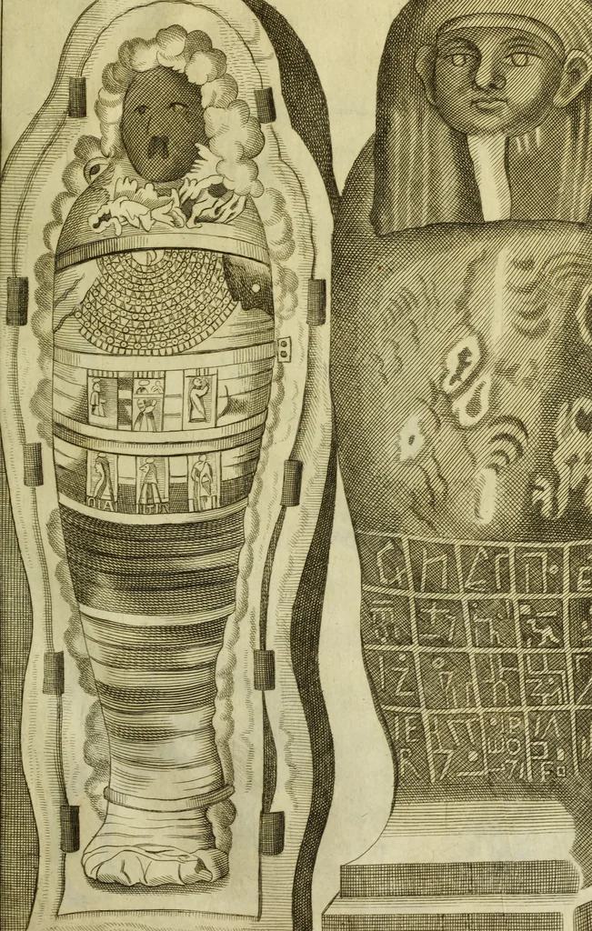An illustration from Museum regium, seu, Catalogus rerum tam naturalium, quam artificialium, quae in basilica bibliothecae augustissimi Daniae Norvegiaeq[ue] monarchae Christiani Quinti, Hafniae asservantur, 1696, leaf 222
