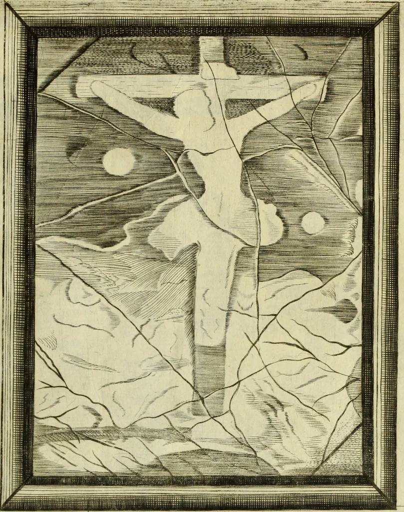 An illustration from Museum regium, seu, Catalogus rerum tam naturalium, quam artificialium, quae in basilica bibliothecae augustissimi Daniae Norvegiaeq[ue] monarchae Christiani Quinti, Hafniae asservantur, 1696, leaf 240