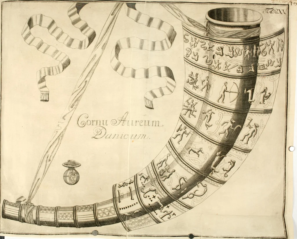 An illustration from Museum regium, seu, Catalogus rerum tam naturalium, quam artificialium, quae in basilica bibliothecae augustissimi Daniae Norvegiaeq[ue] monarchae Christiani Quinti, Hafniae asservantur, 1696, leaf 249
