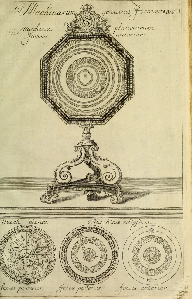 An illustration from Museum regium, seu, Catalogus rerum tam naturalium, quam artificialium, quae in basilica bibliothecae augustissimi Daniae Norvegiaeq[ue] monarchae Christiani Quinti, Hafniae asservantur, 1696, leaf 252