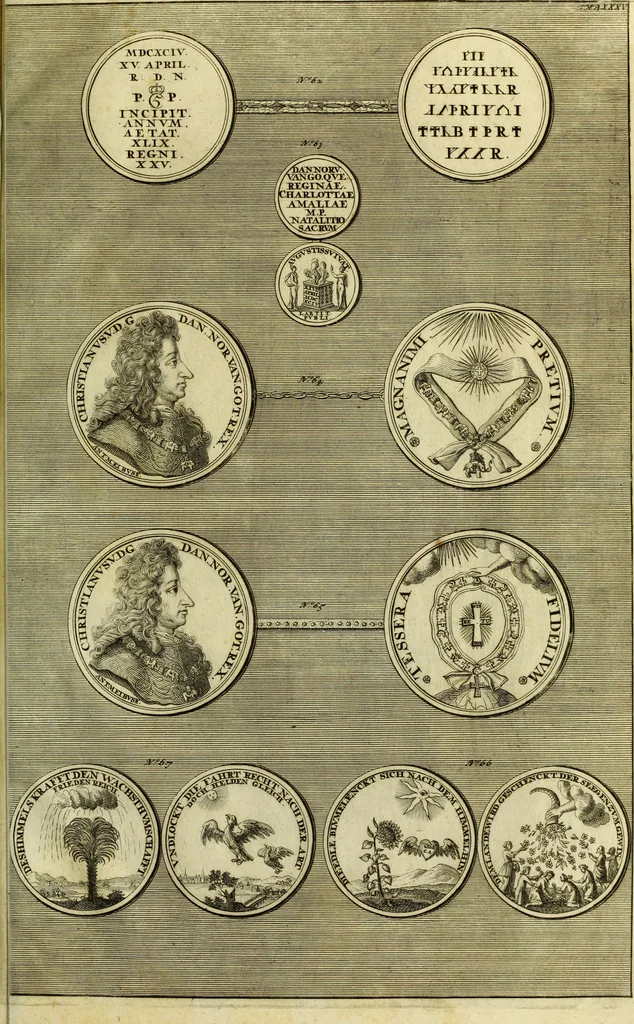 An illustration from Museum regium, seu, Catalogus rerum tam naturalium, quam artificialium, quae in basilica bibliothecae augustissimi Daniae Norvegiaeq[ue] monarchae Christiani Quinti, Hafniae asservantur, 1696, leaf 288
