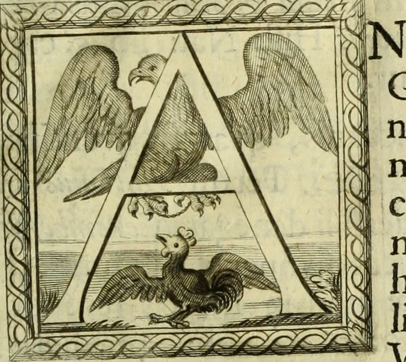 An illustration from Museum regium, seu, Catalogus rerum tam naturalium, quam artificialium, quae in basilica bibliothecae augustissimi Daniae Norvegiaeq[ue] monarchae Christiani Quinti, Hafniae asservantur, 1696, leaf 32