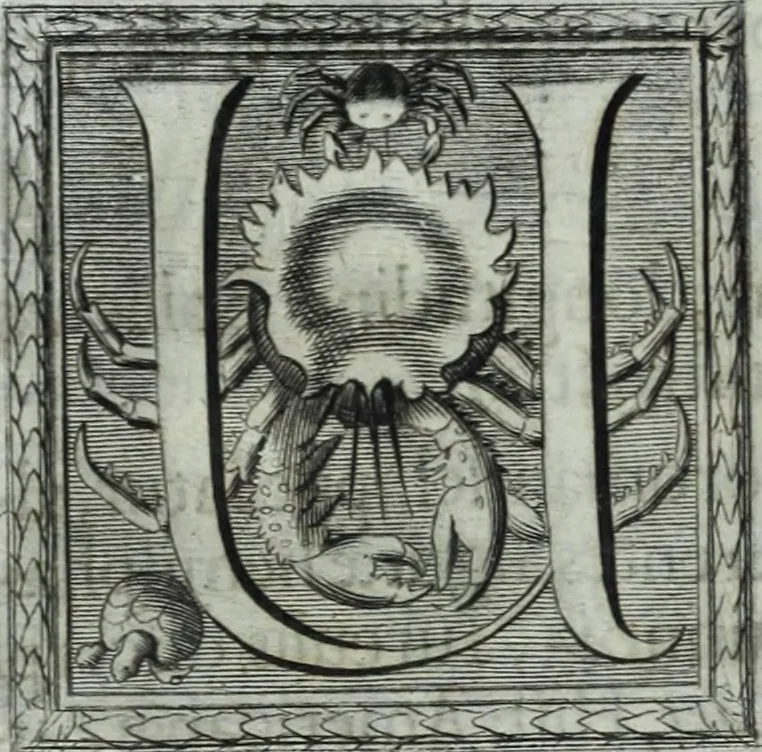 An illustration from Museum regium, seu, Catalogus rerum tam naturalium, quam artificialium, quae in basilica bibliothecae augustissimi Daniae Norvegiaeq[ue] monarchae Christiani Quinti, Hafniae asservantur, 1696, leaf 35