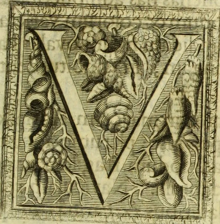 An illustration from Museum regium, seu, Catalogus rerum tam naturalium, quam artificialium, quae in basilica bibliothecae augustissimi Daniae Norvegiaeq[ue] monarchae Christiani Quinti, Hafniae asservantur, 1696, leaf 40