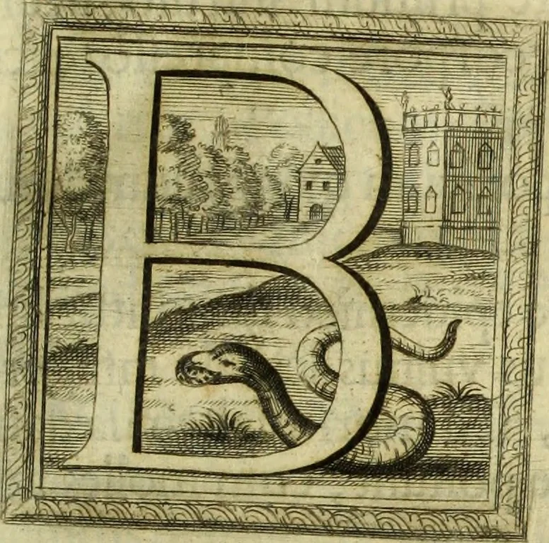 An illustration from Museum regium, seu, Catalogus rerum tam naturalium, quam artificialium, quae in basilica bibliothecae augustissimi Daniae Norvegiaeq[ue] monarchae Christiani Quinti, Hafniae asservantur, 1696, leaf 44