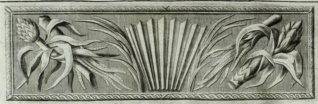 An illustration from Museum regium, seu, Catalogus rerum tam naturalium, quam artificialium, quae in basilica bibliothecae augustissimi Daniae Norvegiaeq[ue] monarchae Christiani Quinti, Hafniae asservantur, 1696, leaf 47