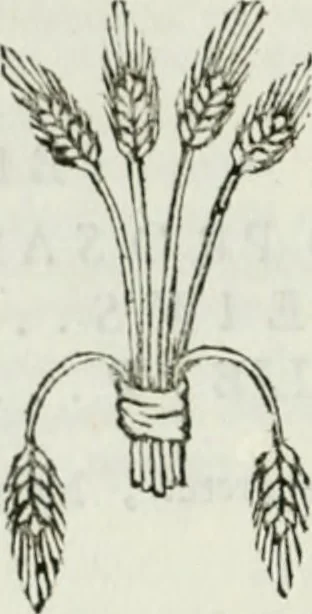 An illustration from Museum veronense, hoc est, Antiquarum inscriptionum atque anaglyphorum collectio : cui Taurinensis adiungitur et Vindobonensis : accedunt monumenta id genus plurima nondum vulgata, et ubicumque collecta, 1749, leaf 117