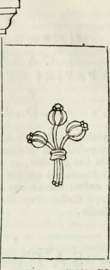 An illustration from Museum veronense, hoc est, Antiquarum inscriptionum atque anaglyphorum collectio : cui Taurinensis adiungitur et Vindobonensis : accedunt monumenta id genus plurima nondum vulgata, et ubicumque collecta, 1749, leaf 117
