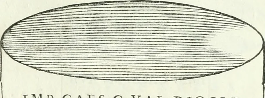 An illustration from Museum veronense, hoc est, Antiquarum inscriptionum atque anaglyphorum collectio : cui Taurinensis adiungitur et Vindobonensis : accedunt monumenta id genus plurima nondum vulgata, et ubicumque collecta, 1749, leaf 138