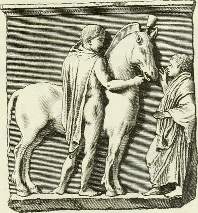 An illustration from Museum veronense, hoc est, Antiquarum inscriptionum atque anaglyphorum collectio : cui Taurinensis adiungitur et Vindobonensis : accedunt monumenta id genus plurima nondum vulgata, et ubicumque collecta, 1749, leaf 156