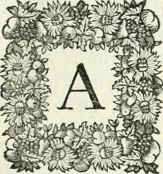 An illustration from Museum veronense, hoc est, Antiquarum inscriptionum atque anaglyphorum collectio : cui Taurinensis adiungitur et Vindobonensis : accedunt monumenta id genus plurima nondum vulgata, et ubicumque collecta, 1749, leaf 24