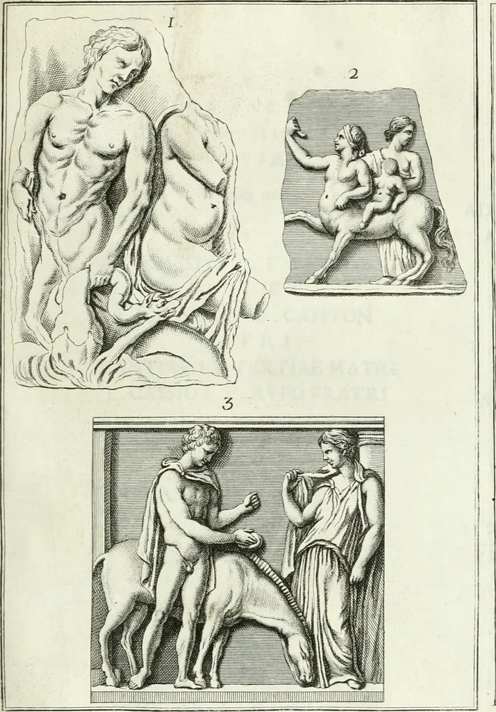 An illustration from Museum veronense, hoc est, Antiquarum inscriptionum atque anaglyphorum collectio : cui Taurinensis adiungitur et Vindobonensis : accedunt monumenta id genus plurima nondum vulgata, et ubicumque collecta, 1749, leaf 252