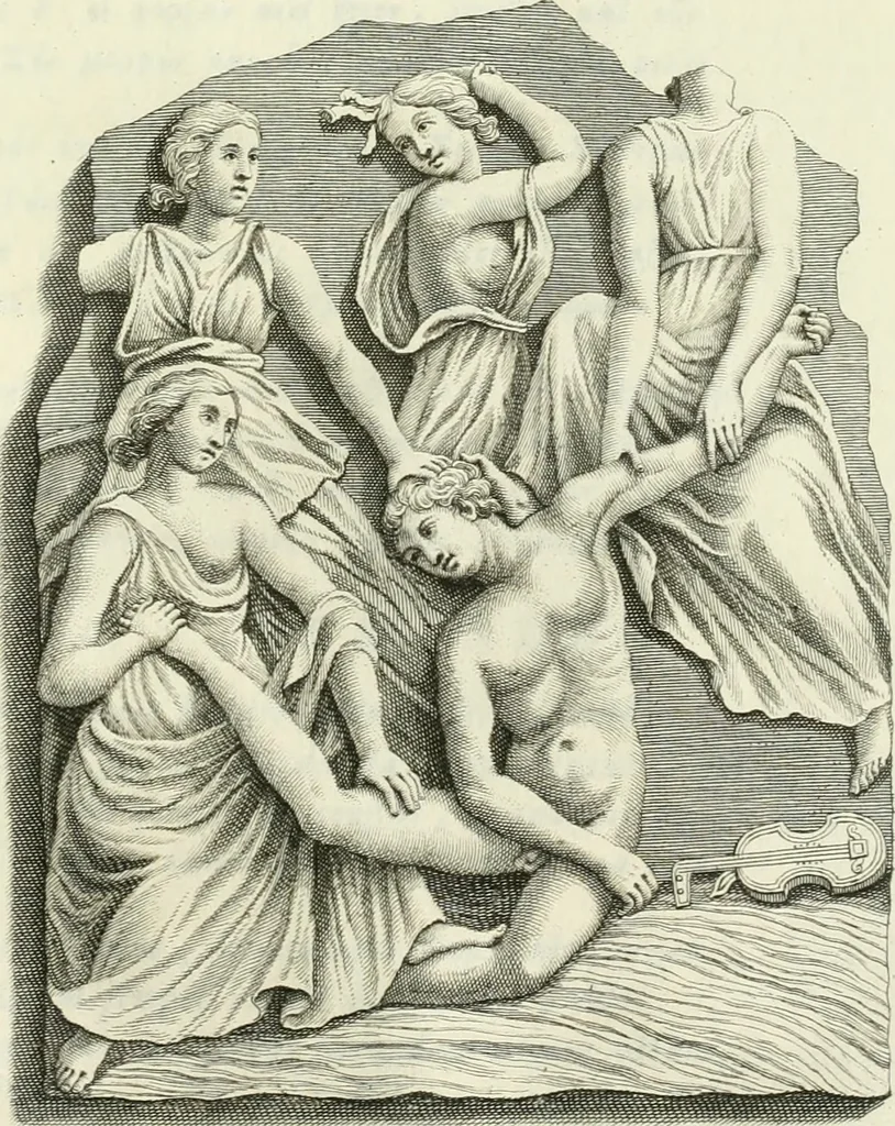 An illustration from Museum veronense, hoc est, Antiquarum inscriptionum atque anaglyphorum collectio : cui Taurinensis adiungitur et Vindobonensis : accedunt monumenta id genus plurima nondum vulgata, et ubicumque collecta, 1749, leaf 264