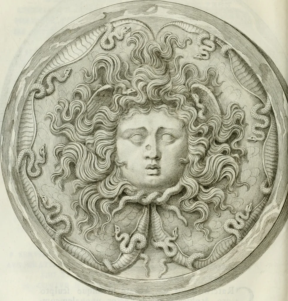 An illustration from Museum veronense, hoc est, Antiquarum inscriptionum atque anaglyphorum collectio : cui Taurinensis adiungitur et Vindobonensis : accedunt monumenta id genus plurima nondum vulgata, et ubicumque collecta, 1749, leaf 395