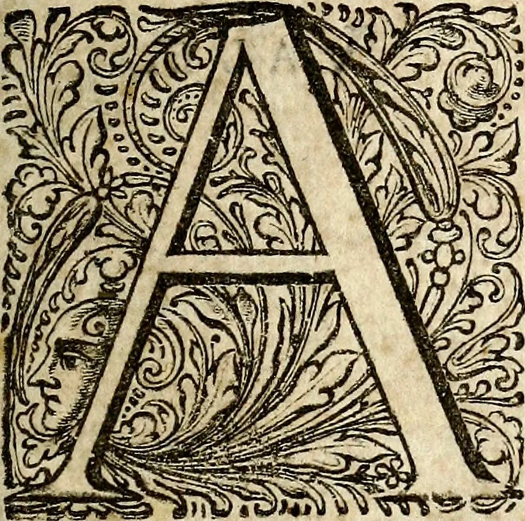 An illustration from Musicae compendium, 1656, leaf 10