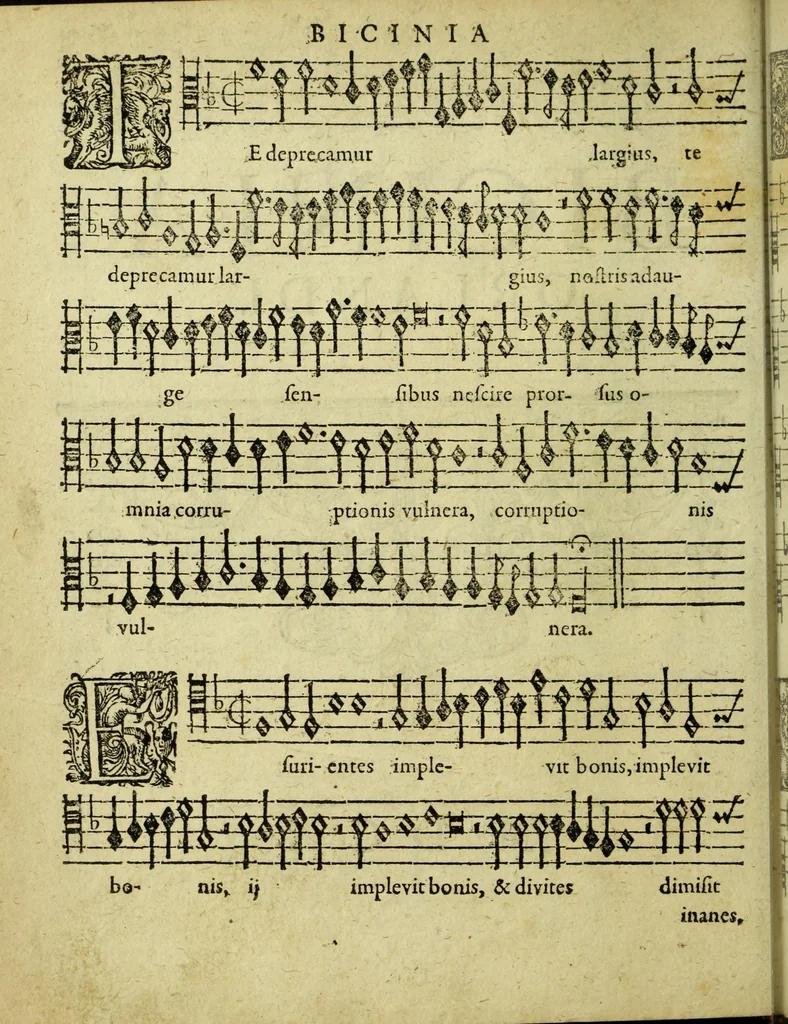 An illustration from Musicae : das ist der freyen lieblichen Singkunst erster und anderer Theil. Sampt beygefugtem nutzlichen Exempel Buchlein ..., 1610, leaf 148
