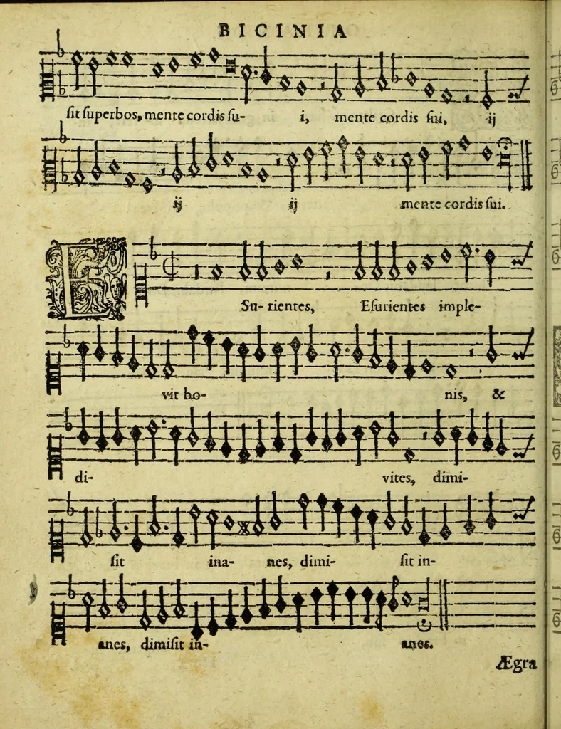 An illustration from Musicae : das ist der freyen lieblichen Singkunst erster und anderer Theil. Sampt beygefugtem nutzlichen Exempel Buchlein ..., 1610, leaf 164