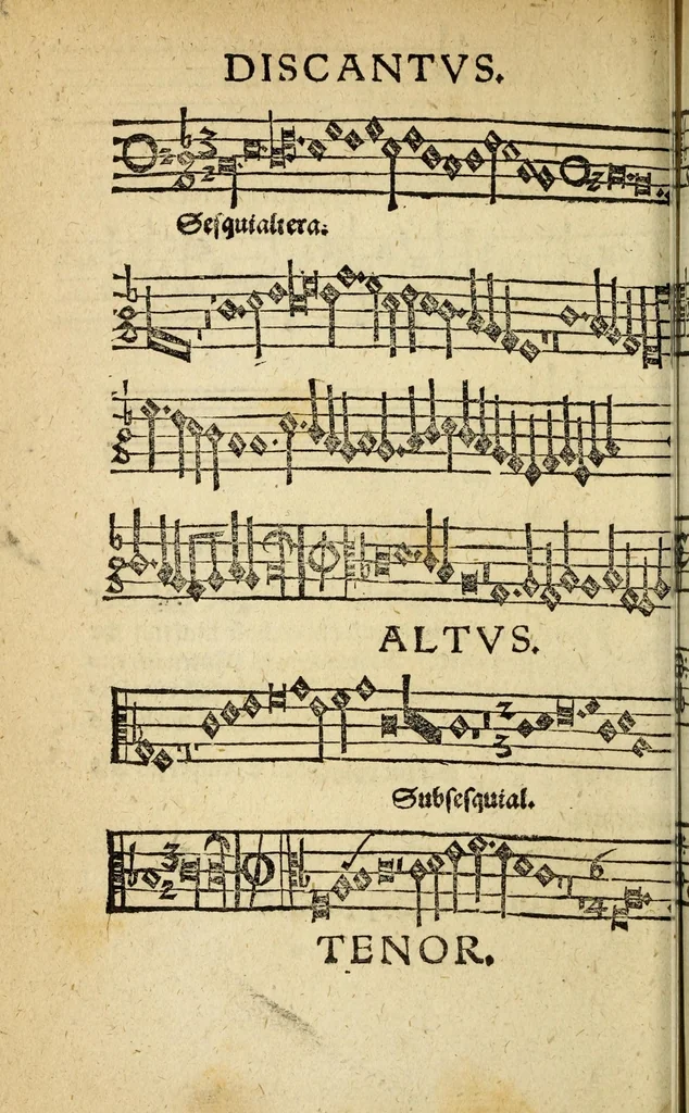 An illustration from Musica figuralis deudsch, 1532, leaf 206