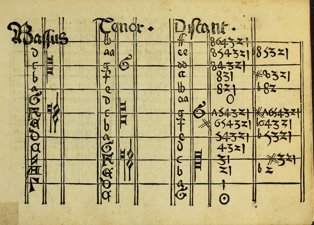 An illustration from Musica getutscht vnd auszgezogē durch Sebastianū Virdung ... vnd alles gesang ausz den notē in die tabulaturē diser benantē dryer Instrumētē de Orgeln: der Lautē: vnd d'Flōten transferieren zu lernē, etc. [With musical notes.] G.L, 1511, leaf 119