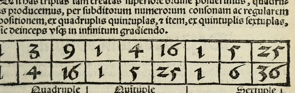 An illustration from Musice actiue micrologus, 1519, leaf 73