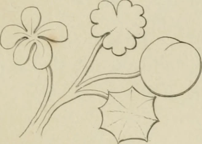 An illustration from The music of the eye; or, Essays on the principles of the beauty and perfection of architecture, as founded on and deduced from reason and analogy, and adapted to what may be traced of the ancient theories of taste, in the three first chapters of Vitruvius .., 1831, leaf 172
