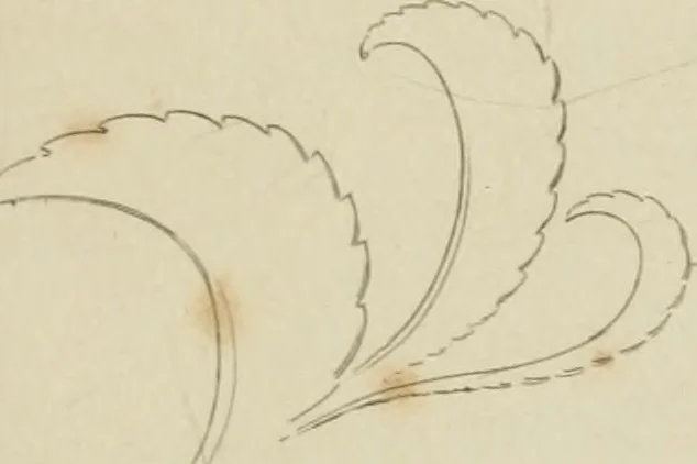 An illustration from The music of the eye; or, Essays on the principles of the beauty and perfection of architecture, as founded on and deduced from reason and analogy, and adapted to what may be traced of the ancient theories of taste, in the three first chapters of Vitruvius .., 1831, leaf 172