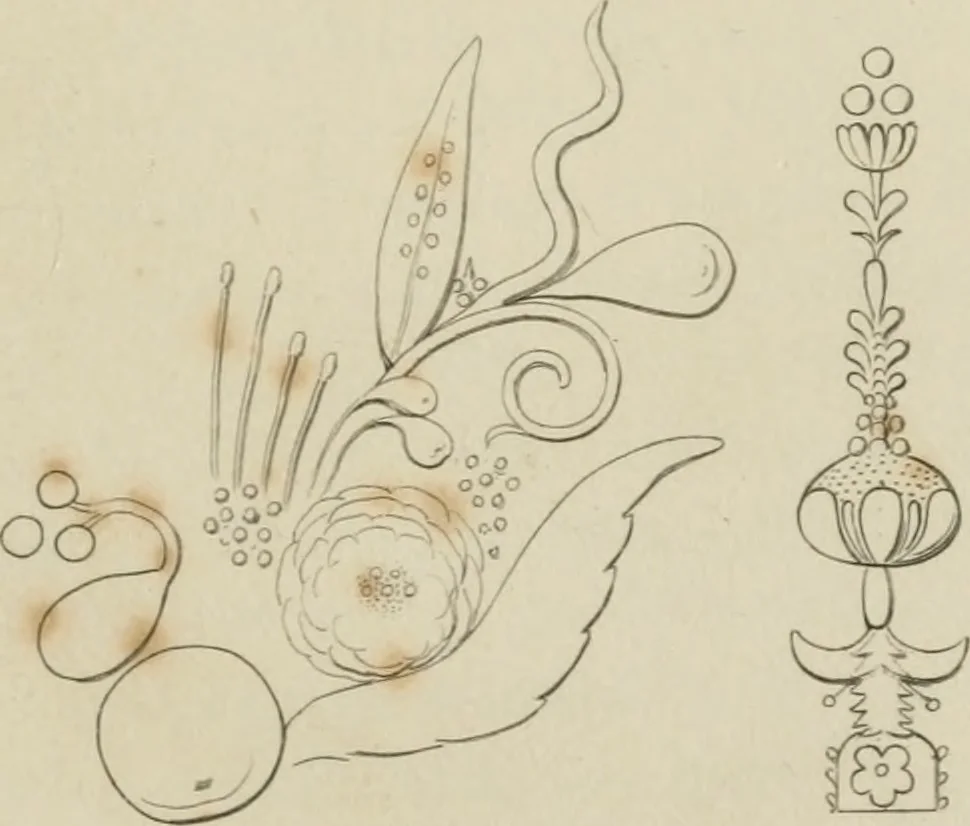 An illustration from The music of the eye; or, Essays on the principles of the beauty and perfection of architecture, as founded on and deduced from reason and analogy, and adapted to what may be traced of the ancient theories of taste, in the three first chapters of Vitruvius .., 1831, leaf 172