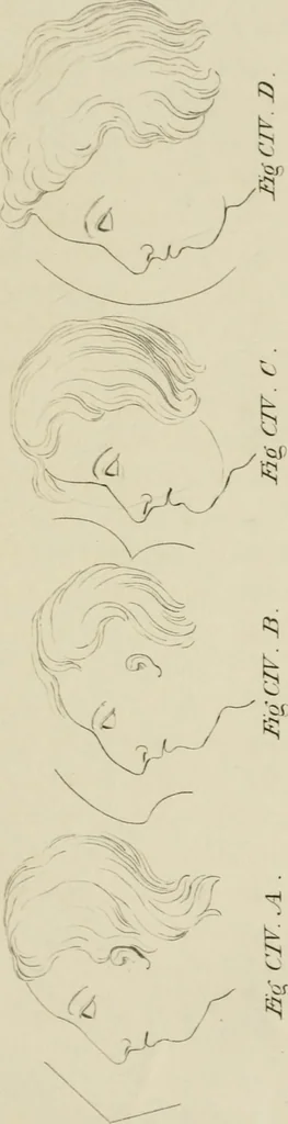 An illustration from The music of the eye; or, Essays on the principles of the beauty and perfection of architecture, as founded on and deduced from reason and analogy, and adapted to what may be traced of the ancient theories of taste, in the three first chapters of Vitruvius .., 1831, leaf 354