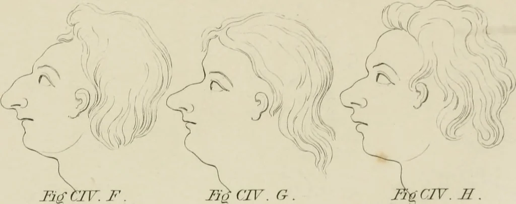 An illustration from The music of the eye; or, Essays on the principles of the beauty and perfection of architecture, as founded on and deduced from reason and analogy, and adapted to what may be traced of the ancient theories of taste, in the three first chapters of Vitruvius .., 1831, leaf 354