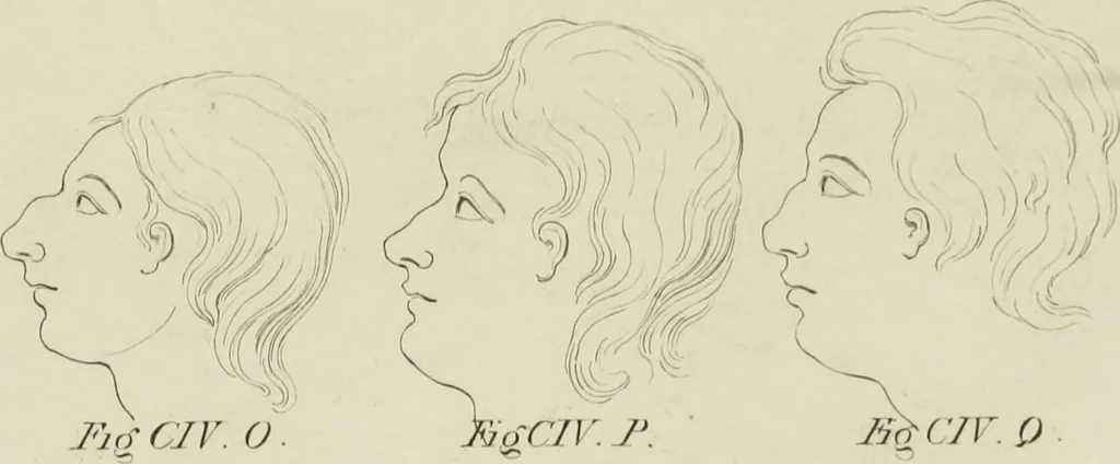 An illustration from The music of the eye; or, Essays on the principles of the beauty and perfection of architecture, as founded on and deduced from reason and analogy, and adapted to what may be traced of the ancient theories of taste, in the three first chapters of Vitruvius .., 1831, leaf 356