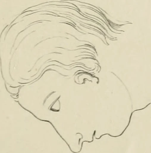 An illustration from The music of the eye; or, Essays on the principles of the beauty and perfection of architecture, as founded on and deduced from reason and analogy, and adapted to what may be traced of the ancient theories of taste, in the three first chapters of Vitruvius .., 1831, leaf 356