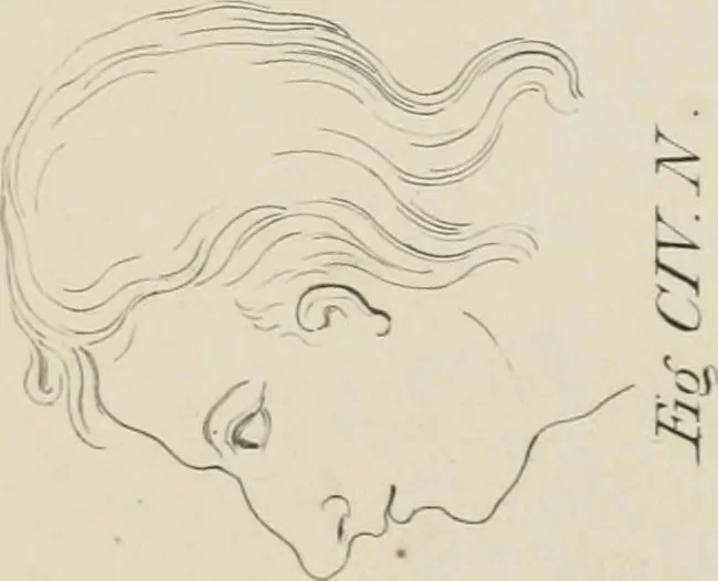 An illustration from The music of the eye; or, Essays on the principles of the beauty and perfection of architecture, as founded on and deduced from reason and analogy, and adapted to what may be traced of the ancient theories of taste, in the three first chapters of Vitruvius .., 1831, leaf 356