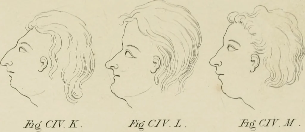 An illustration from The music of the eye; or, Essays on the principles of the beauty and perfection of architecture, as founded on and deduced from reason and analogy, and adapted to what may be traced of the ancient theories of taste, in the three first chapters of Vitruvius .., 1831, leaf 356