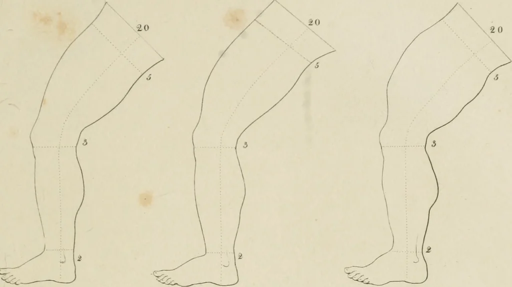 An illustration from The music of the eye; or, Essays on the principles of the beauty and perfection of architecture, as founded on and deduced from reason and analogy, and adapted to what may be traced of the ancient theories of taste, in the three first chapters of Vitruvius .., 1831, leaf 358