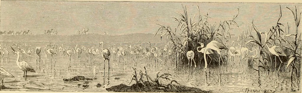 An illustration from Muster altdeutscher Leinenstickerei : II, 1882, leaf 7
