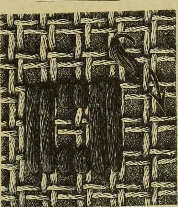 An illustration from Muster altdeutscher Leinenstickerei : IV, 1888, leaf 24