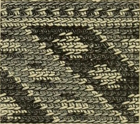 An illustration from Muster altdeutscher Leinenstickerei : IV, 1888, leaf 26