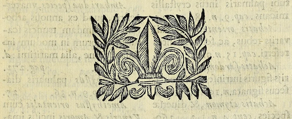 An illustration from Musæum Septalianum : Manfredi Septalæ ... industrioso labore constructum, 1664, leaf 311