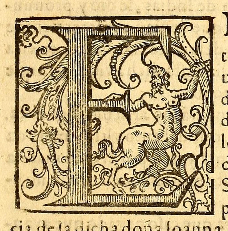 An illustration from Muy illustre señor. En el pleyto que V. M. tiene visto entre doña Ioanna de Silua viuda muger que fue de don Ioan de Saauedra difuncto como su heredera vniuersal, vezina de la ciudad de los Reynos en el Pyru, 1583, leaf 5