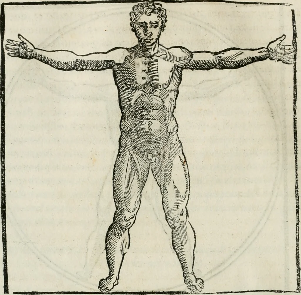 An illustration from M. Vitruuio Pollion De architectura : diuidido en diez libros, traduzidos de Latin en Castellano por Miguel de Vrrea architecto, y facado en su perfectio por Iuan Gracian impressor vezino de Alcala, 1582, leaf 77