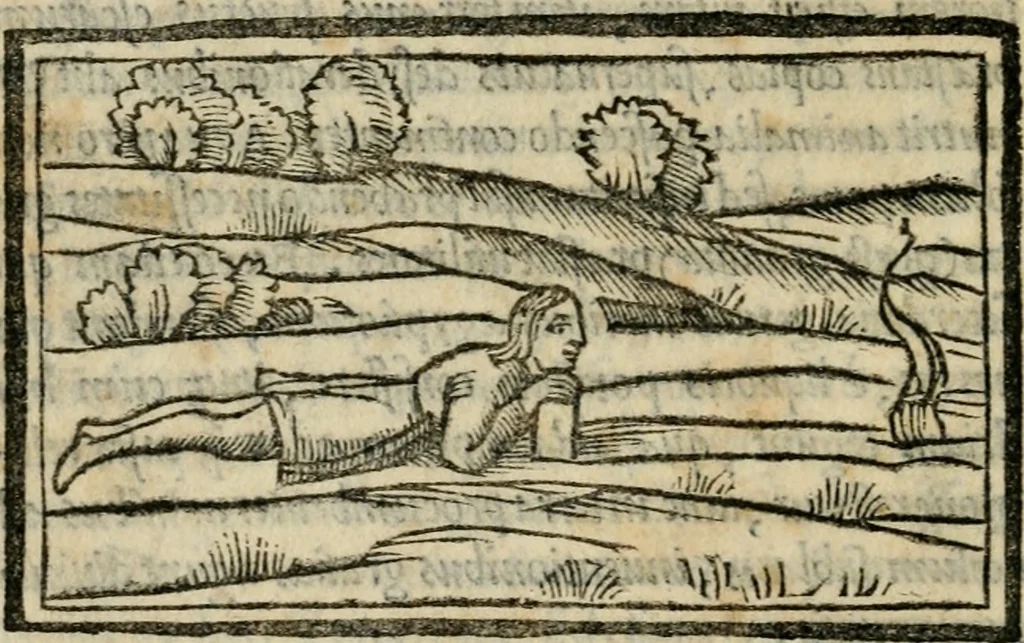 An illustration from M. Vitrvvii De architectvra libri decem : nuper maxima diligentia castigati atq[ue] excusi : additis Iulij Frontini De aqueductibus libris propter materiae affinitatem, 1522, leaf 267