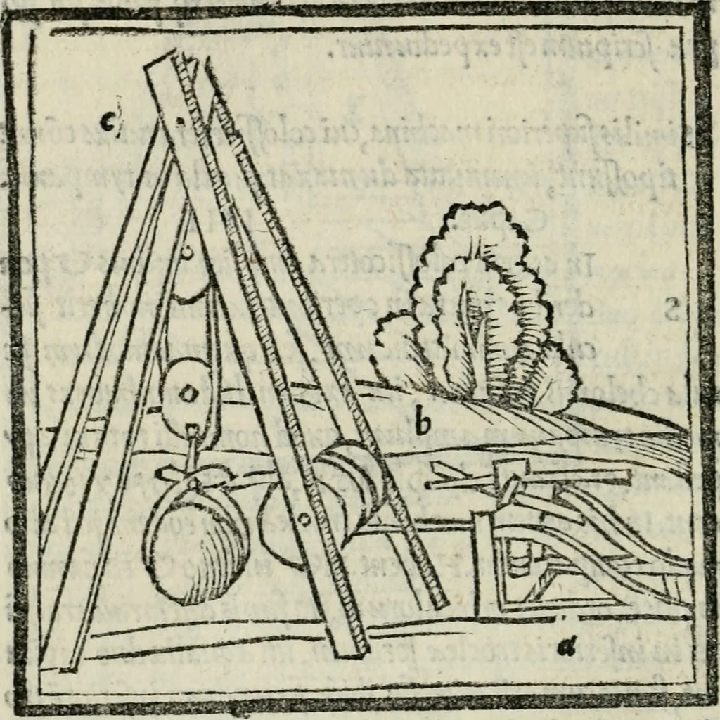 An illustration from M. Vitrvvii De architectvra libri decem : nuper maxima diligentia castigati atq[ue] excusi : additis Iulij Frontini De aqueductibus libris propter materiae affinitatem, 1522, leaf 341