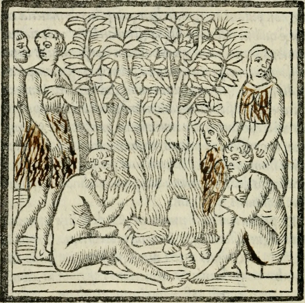 An illustration from M. Vitrvvii De architectvra libri decem : nuper maxima diligentia castigati atq[ue] excusi : additis Iulij Frontini De aqueductibus libris propter materiae affinitatem, 1522, leaf 55