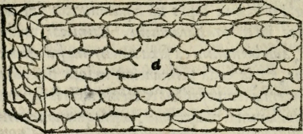 An illustration from M. Vitrvvii De architectvra libri decem : nuper maxima diligentia castigati atq[ue] excusi : additis Iulij Frontini De aqueductibus libris propter materiae affinitatem, 1522, leaf 71