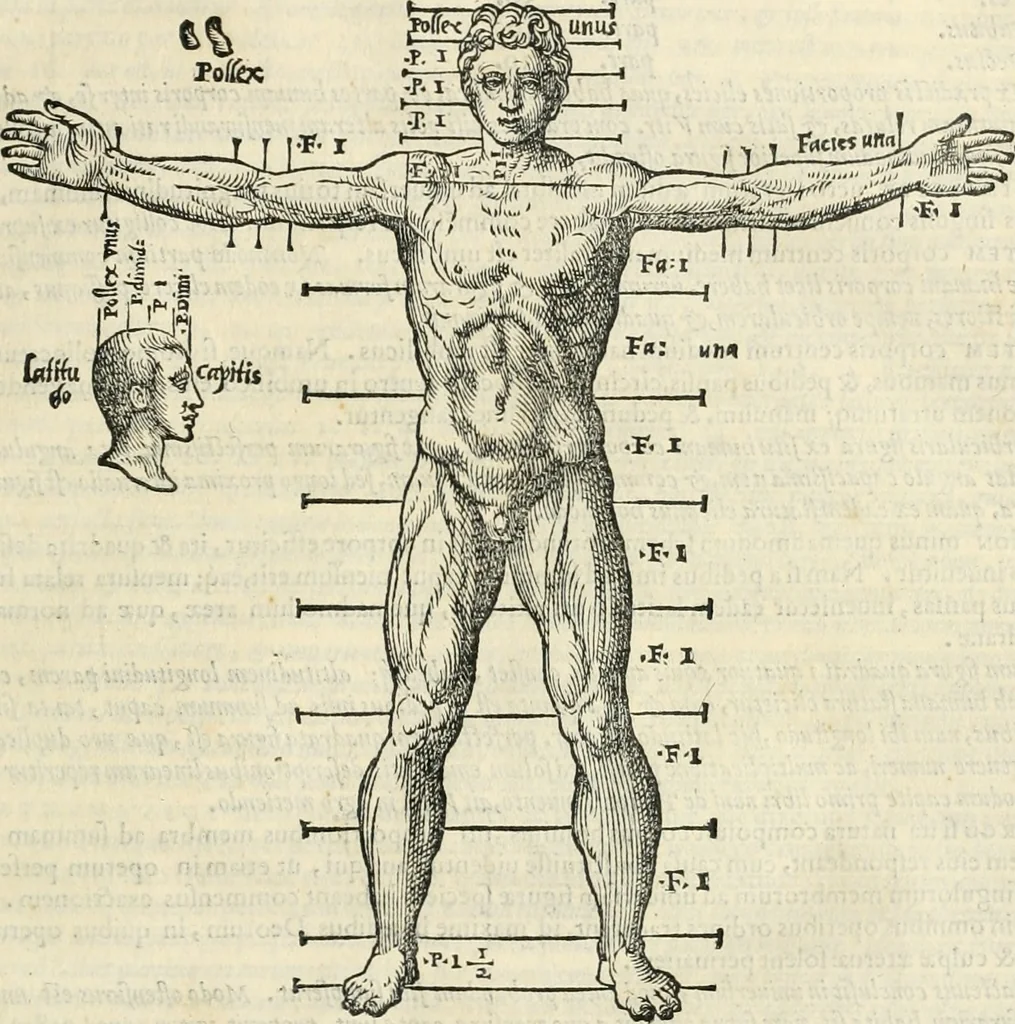 An illustration from M. Vitrvvii Pollionis De architectura libri decem, 1567, leaf 112