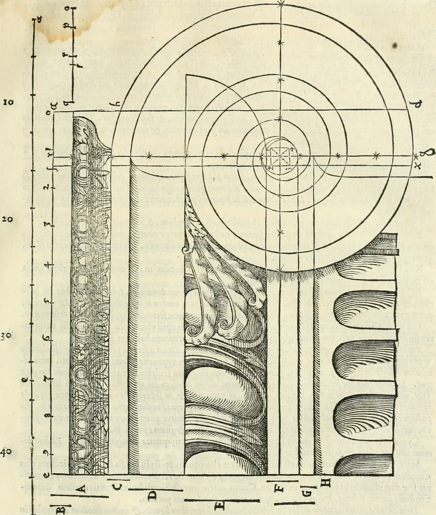 An illustration from M. Vitrvvii Pollionis De architectura libri decem, 1567, leaf 140