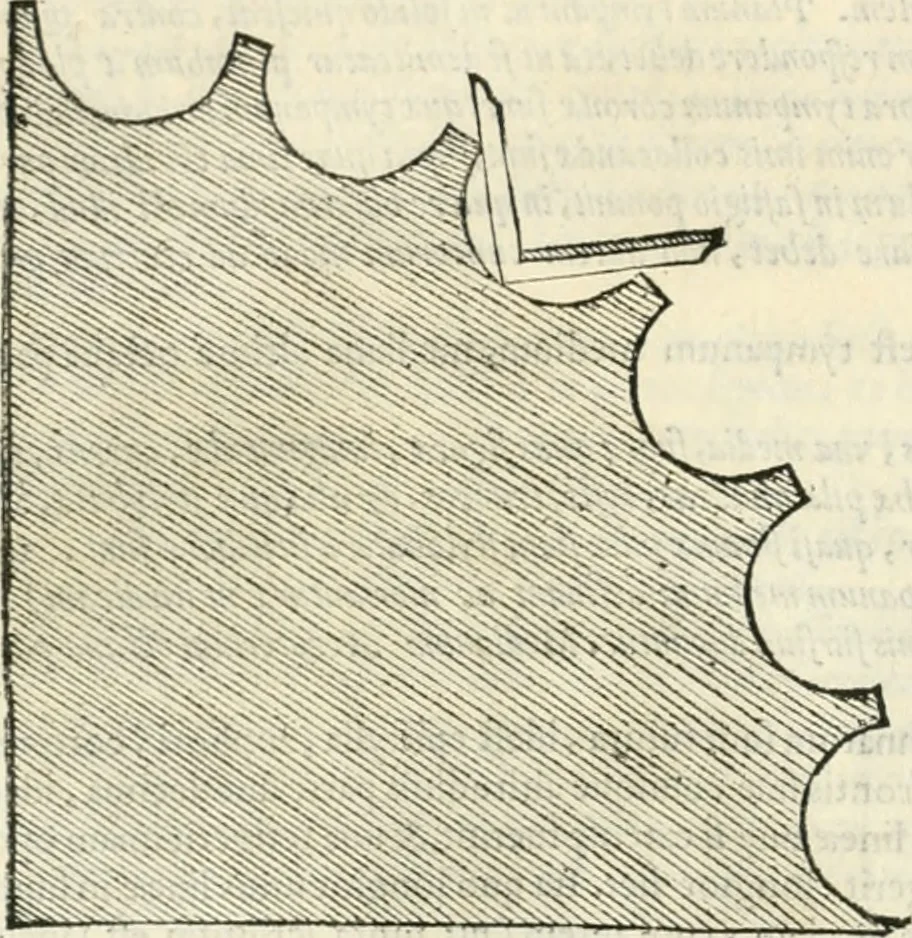 An illustration from M. Vitrvvii Pollionis De architectura libri decem, 1567, leaf 143