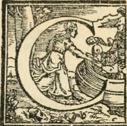 An illustration from M. Vitrvvii Pollionis De architectura libri decem, 1567, leaf 145