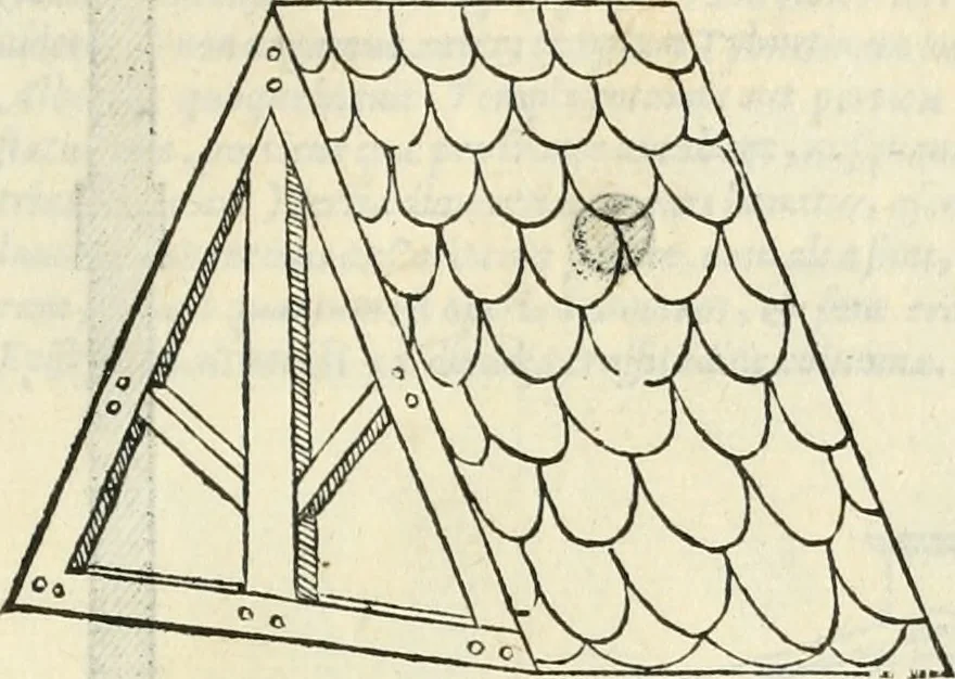 An illustration from M. Vitrvvii Pollionis De architectura libri decem, 1567, leaf 172