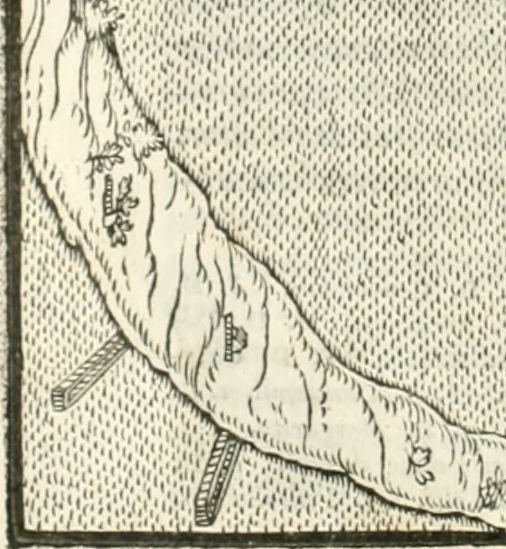 An illustration from M. Vitrvvii Pollionis De architectura libri decem, 1567, leaf 227